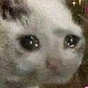 chris_stotts14